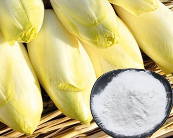 Is chicory root extract a prebiotic?